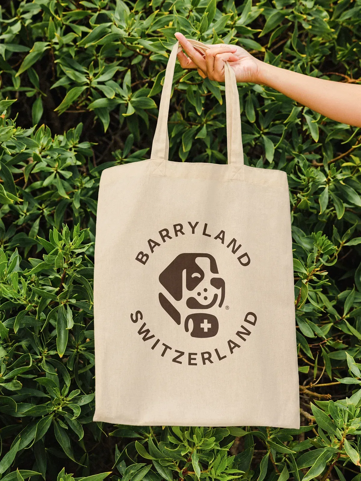 Barryland